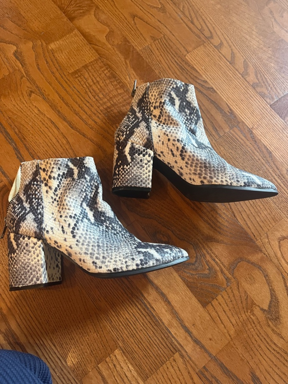 Steve Madden Snake-Print Pointed Toe Block Heel Ankle Boots - Cream/Black